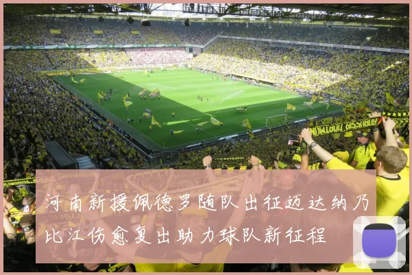 河南新援佩德罗随队出征迈达纳乃比江伤愈复出助力球队新征程