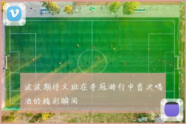 波波期待文班在夺冠游行中首次喝酒的精彩瞬间