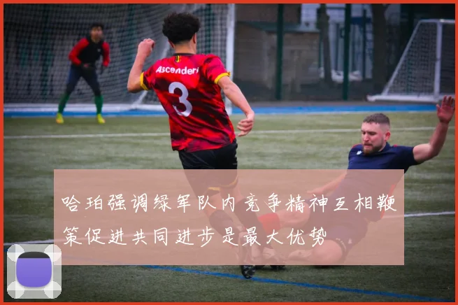 哈珀强调绿军队内竞争精神互相鞭策促进共同进步是最大优势